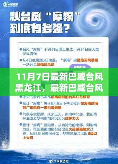 黑龙江应对巴威台风来袭,行动指南与最新动态(附日期)