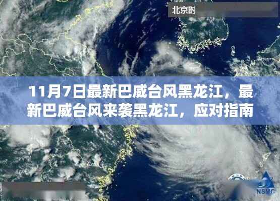 黑龙江应对巴威台风来袭,行动指南与最新动态(附日期)