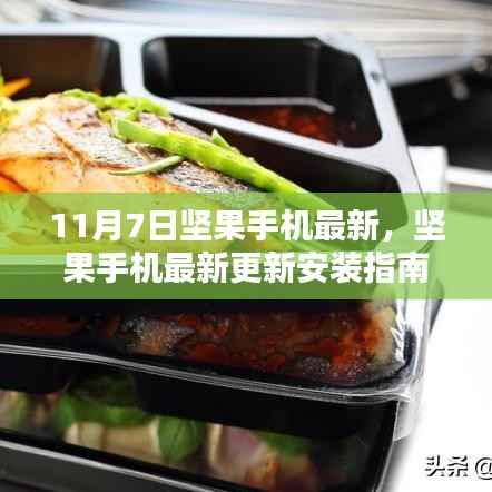 坚果手机最新更新安装指南,从初学者到进阶用户的全面指南(11月7日版)