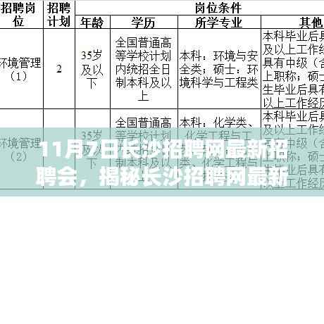 长沙招聘网最新招聘会,职场人的黄金机遇与挑战
