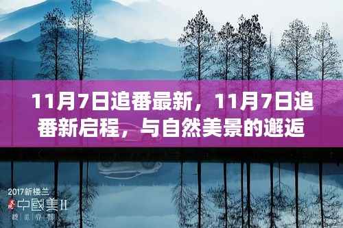 11月7日追番新启程,与自然美景的邂逅,探寻内心平和角落之旅
