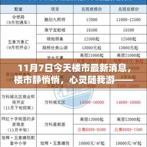 11月7日楼市最新动态与心灵自然之旅,楼市静悄悄,美景探索不停歇