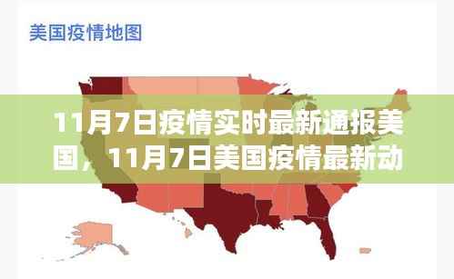 美国疫情最新动态分析,多方视角解读现状与发展趋势(截至11月7日)