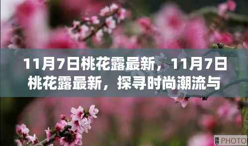 探寻时尚潮流与古老魅力的交融,11月7日桃花露最新动态