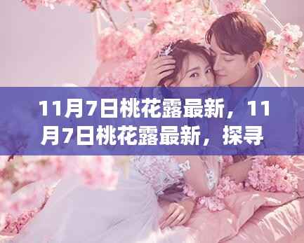 探寻时尚潮流与古老魅力的交融,11月7日桃花露最新动态