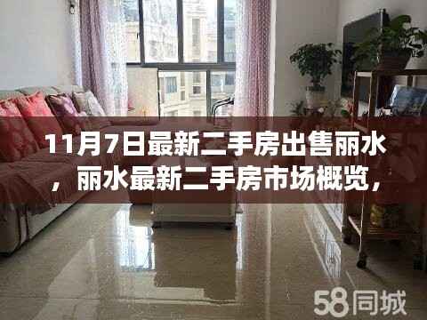 丽水最新二手房市场概览,精选房源出售信息(11月7日更新)