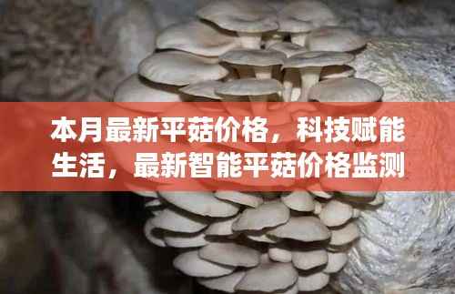 科技赋能生活,智能平菇价格监测仪洞悉市场动态先锋利器,本月最新平菇价格更新!