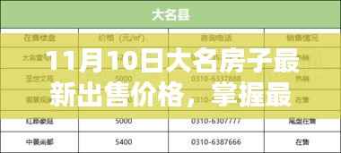 11月10日大名房子最新出售价格详解,查询步骤与房价动态掌握