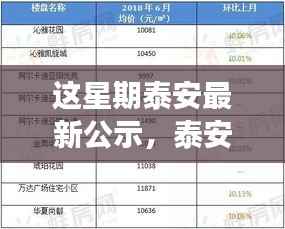 泰安最新公示详解,城市发展与民生关切脉搏的洞察