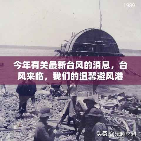 最新台风来袭,温馨避风港守护你我