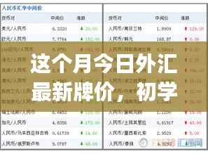 本月外汇最新牌价概览,初学者与进阶用户的查询步骤指南
