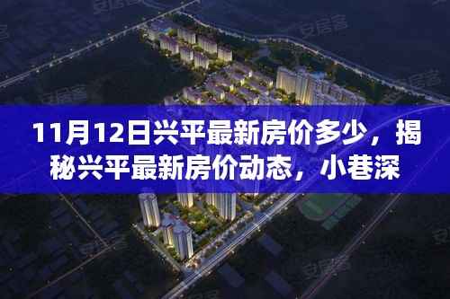 兴平最新房价揭秘与小巷特色小店探索之旅