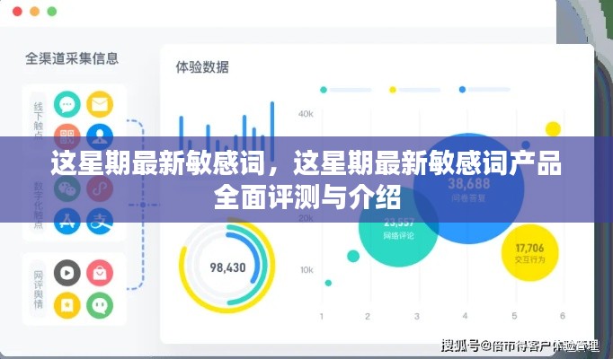 本周热门敏感词汇产品全面评测与介绍