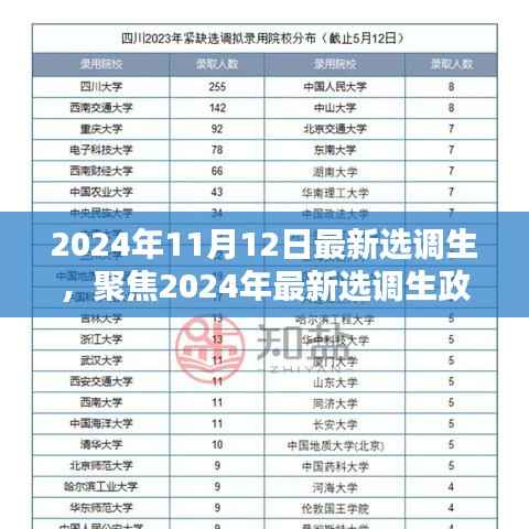 聚焦2024年选调生政策,机遇与挑战并存的新篇章
