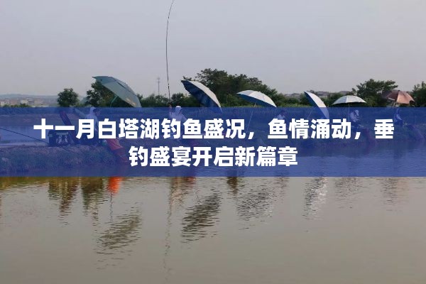 十一月白塔湖钓鱼盛况,鱼情涌动,垂钓盛宴开启新篇章