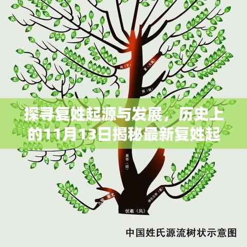 探寻复姓起源与发展,历史上的11月13日揭秘最新复姓起源与发展历程