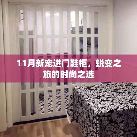 11月新宠进门鞋柜,蜕变之旅的时尚之选