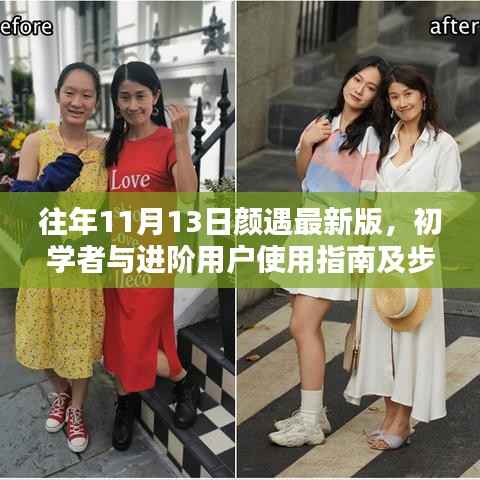 往年11月13日颜遇最新版,初学者与进阶用户使用指南及步骤详解