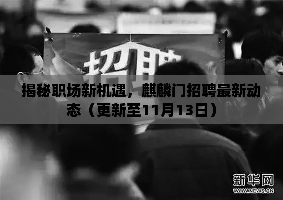 揭秘职场新机遇,麒麟门招聘最新动态(更新至11月13日)
