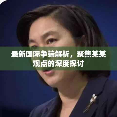最新国际争端解析,聚焦某某观点的深度探讨