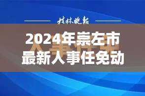 2024年崇左市最新人事任免动态及指南(11月14日版)