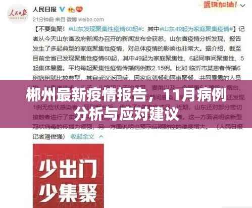 郴州最新疫情报告,11月病例分析与应对建议