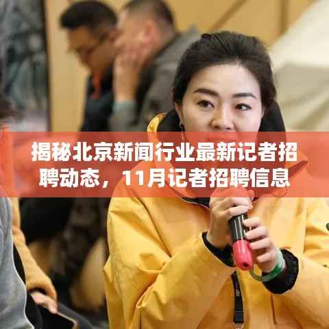 揭秘北京新闻行业最新记者招聘动态,11月记者招聘信息大揭秘