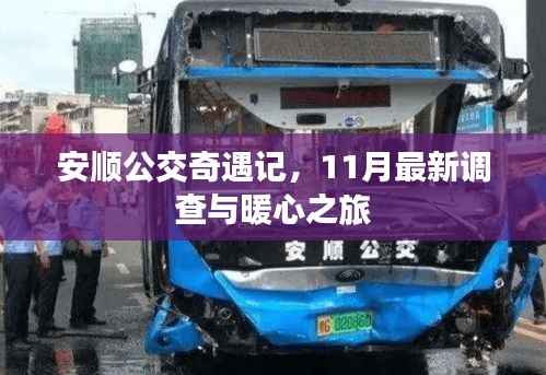 安顺公交奇遇记,11月最新调查与暖心之旅