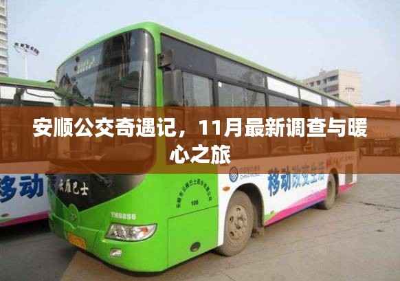 安顺公交奇遇记,11月最新调查与暖心之旅