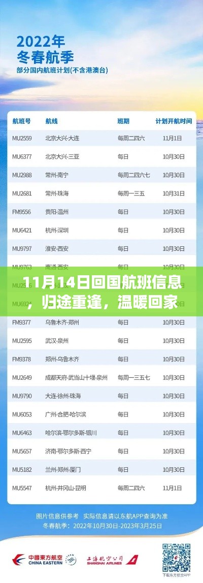 11月14日回国航班信息,归途重逢,温暖回家的航班