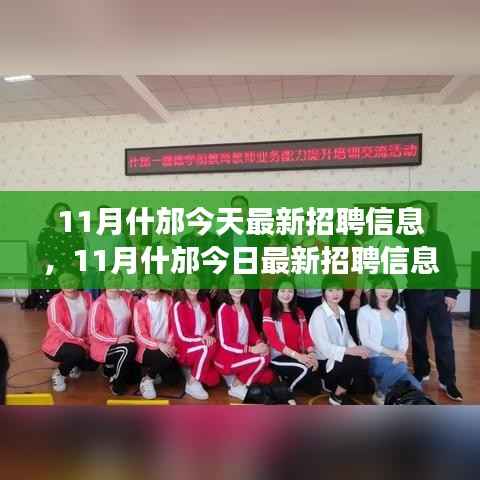 11月什邡最新招聘信息汇总,就业市场观察与个人立场探讨