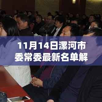 11月14日漯河市委常委最新名单解析，特性、用户体验与竞品对比