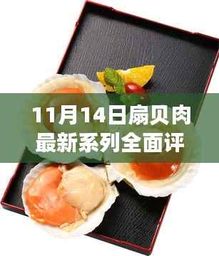 11月14日扇贝肉最新系列全面评测,特性、体验、竞品对比及用户群体深度分析
