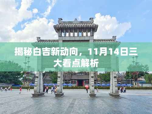 揭秘白吉新动向,11月14日三大看点解析