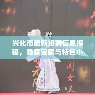 兴化市最新招聘信息揭秘,隐藏宝藏与特色小店的奇妙邂逅日回顾