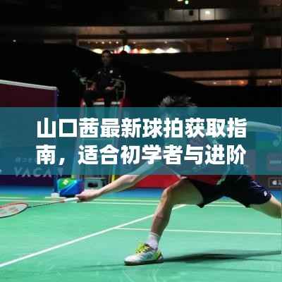山口茜最新球拍获取指南,适合初学者与进阶用户的全面步骤指南(往年11月15日版)