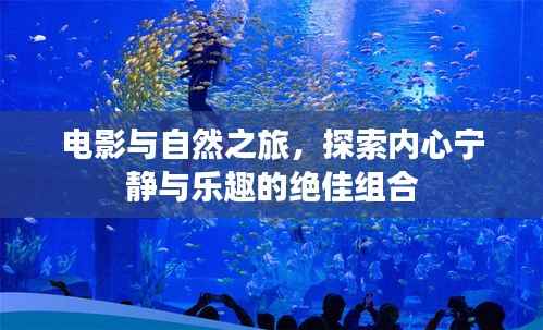 电影与自然之旅,探索内心宁静与乐趣的绝佳组合