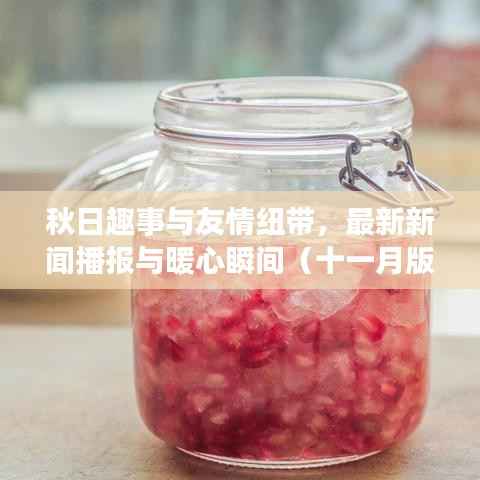 秋日趣事与友情纽带,最新新闻播报与暖心瞬间(十一月版)