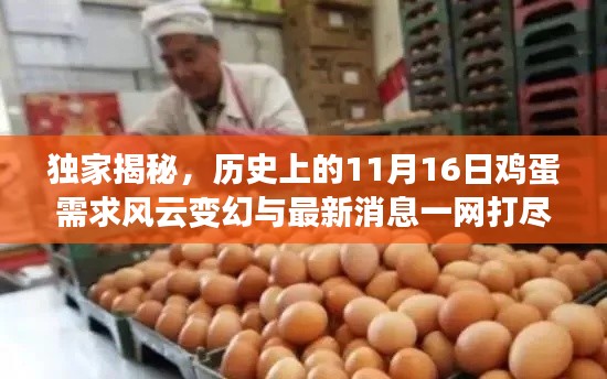 独家揭秘,历史上的11月16日鸡蛋需求风云变幻与最新消息一网打尽!