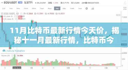 揭秘比特币最新行情,十一月走势分析与今日价格解读