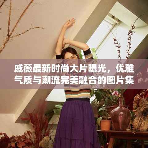 戚薇最新时尚大片曝光,优雅气质与潮流完美融合的图片集欣赏