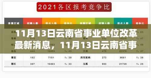 云南省事业单位改革最新动态，深度解读与观点阐述（11月13日更新）