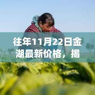 往年11月22日金湖最新价格,揭秘往年11月22日金湖最新价格,市场走势深度解析