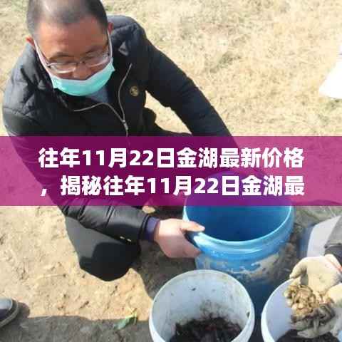 往年11月22日金湖最新价格,揭秘往年11月22日金湖最新价格,市场走势深度解析