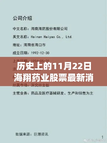历史上的11月22日海翔药业股票最新消息,海翔药业股票背后的温馨故事,一个关于友谊、梦想与陪伴的秋日回忆