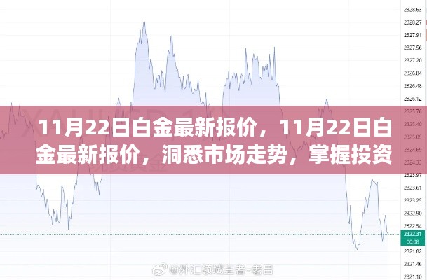 11月22日白金最新报价,洞悉市场走势,把握投资机遇
