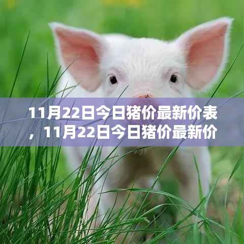 全方位指导,最新猪价查询与进阶指南(11月22日最新价表更新)