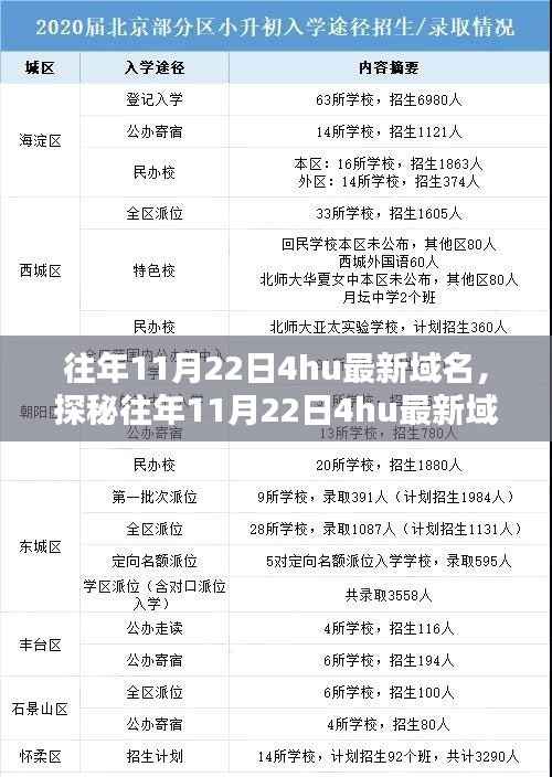 探秘往年11月22日隐藏版特色小店,揭开神秘面纱的小巷奇遇之旅