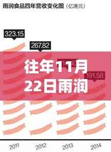 雨润集团最新消息获取指南,初学者与进阶用户适用的指南(附详细消息)