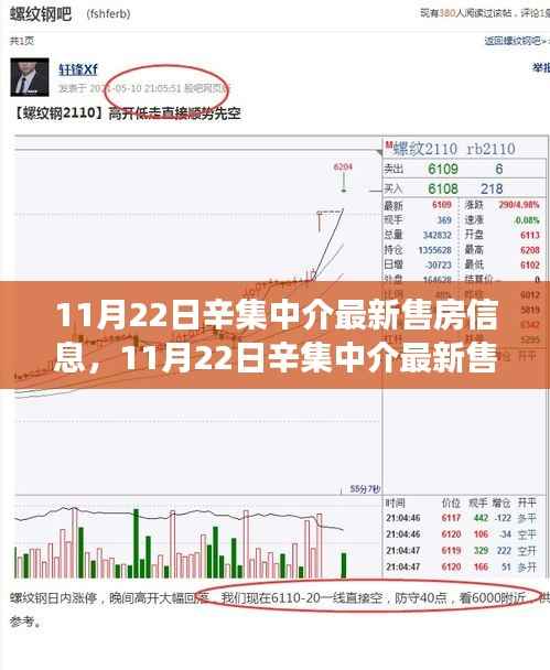 辛集中介最新售房信息与学习变化，拥抱新生活，自信成就梦想之路
